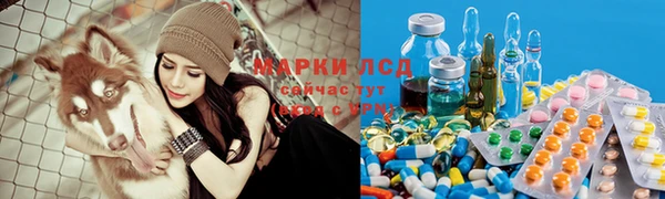 бошки Алзамай