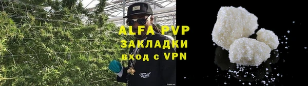 индика Алексеевка