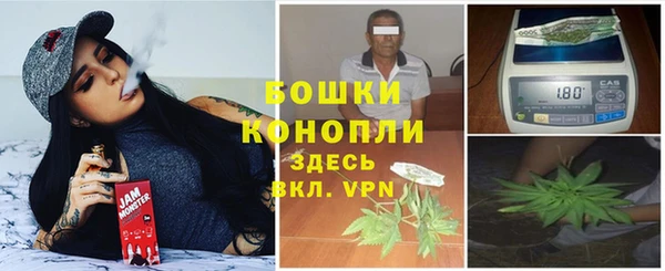 трава Пересвет