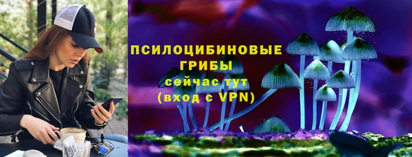 ALPHA PVP Осташков